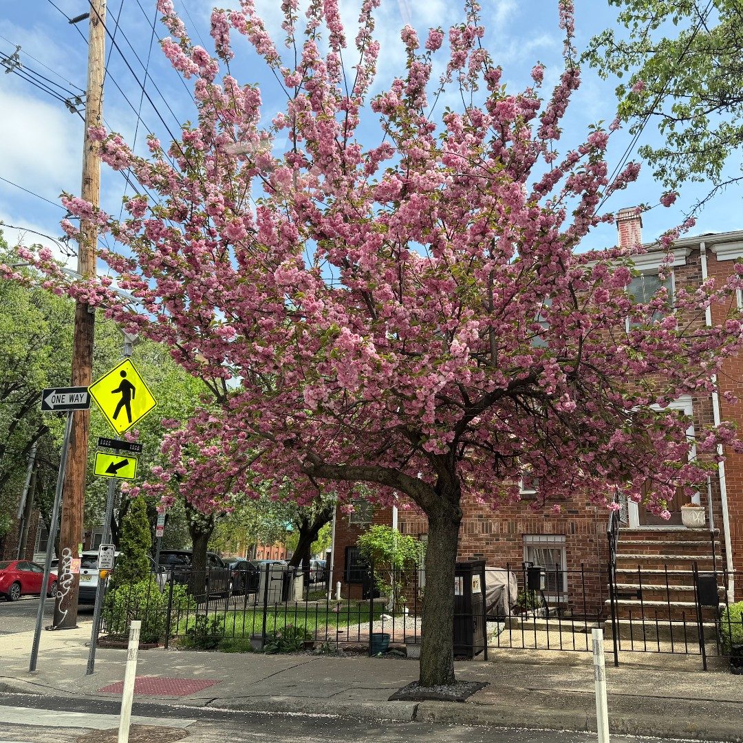 april 18 - #spring #nj