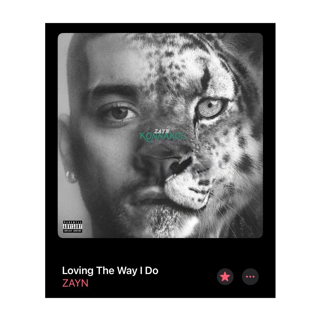 uhh this album came out in april & i listen to this song like everyday. i read he chose this half picture of a snow leopard bc it’s found in pakistan, i love snow leopards, i also watch videos of them on youtube hunting/in action, bc i love youtube #pakistanipride
