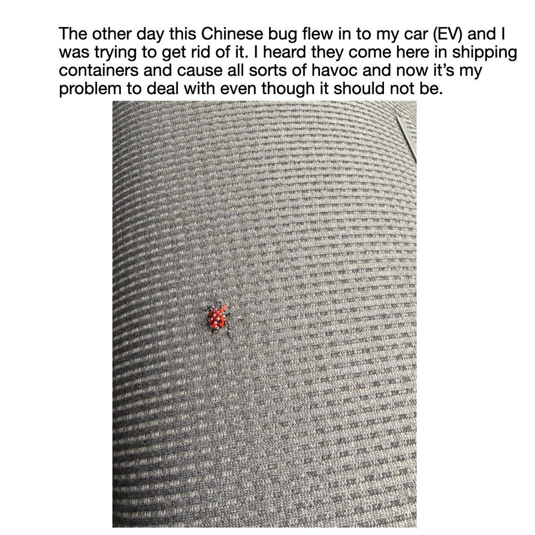 #bug